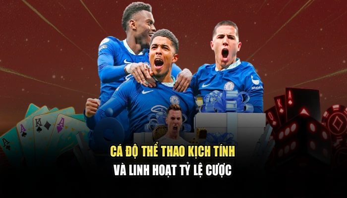 Cá độ thể thao kịch tính và linh hoạt tỷ lệ cược