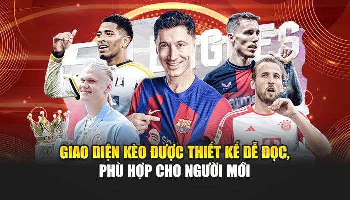 Giao diện kèo được thiết kế dễ đọc, phù hợp cho người mới