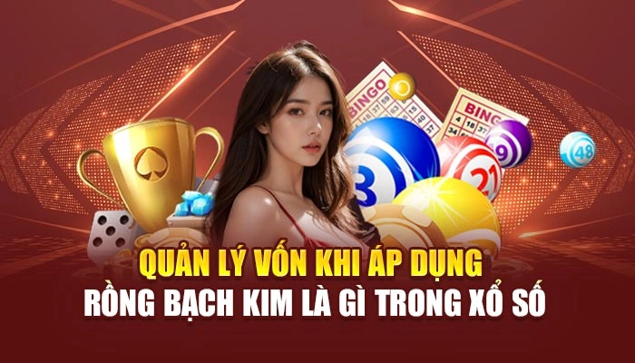 Quản lý vốn khi áp dụng rồng bạch kim là gì trong xổ số
